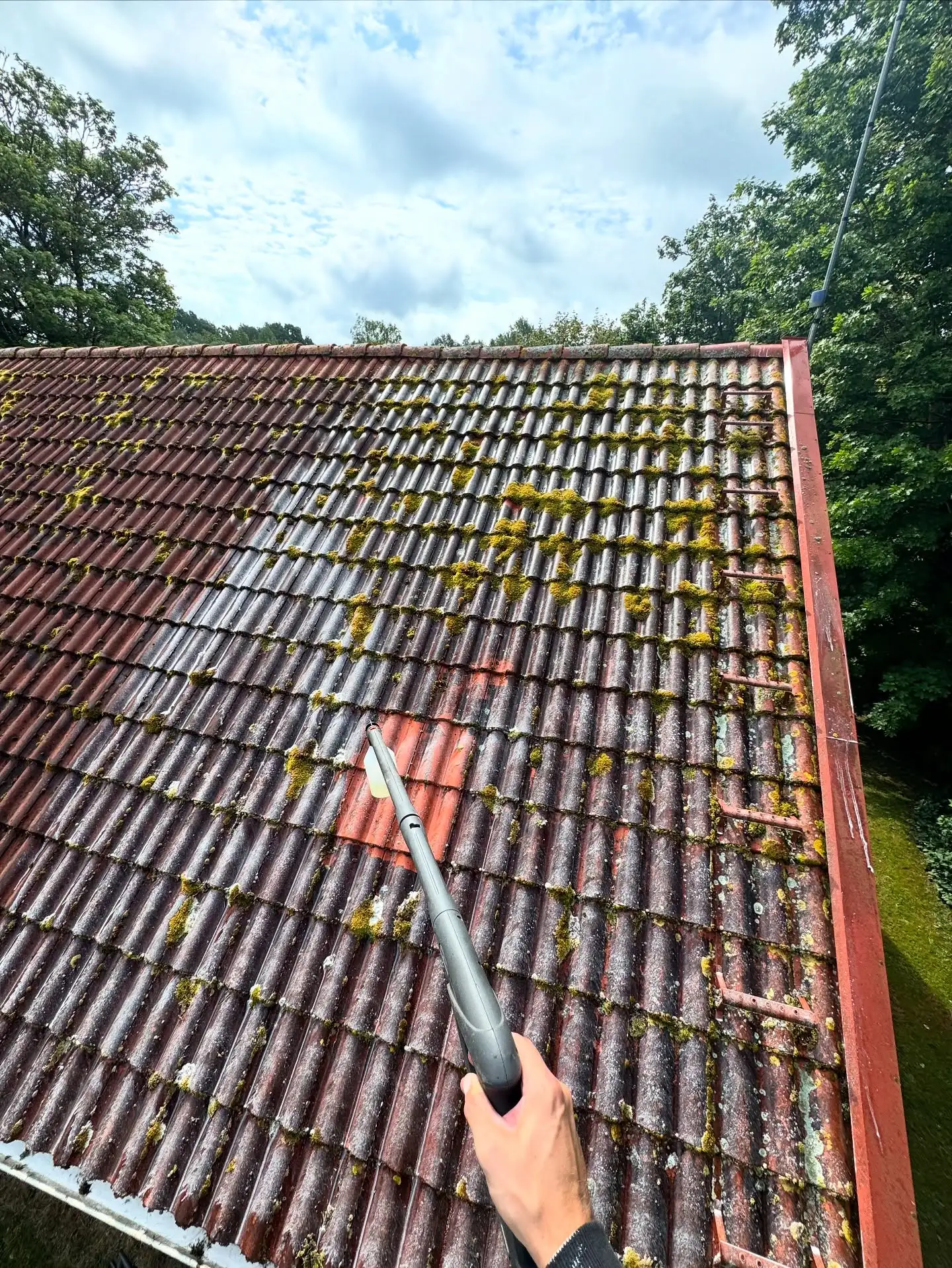 Takrengöring & Algbehandling