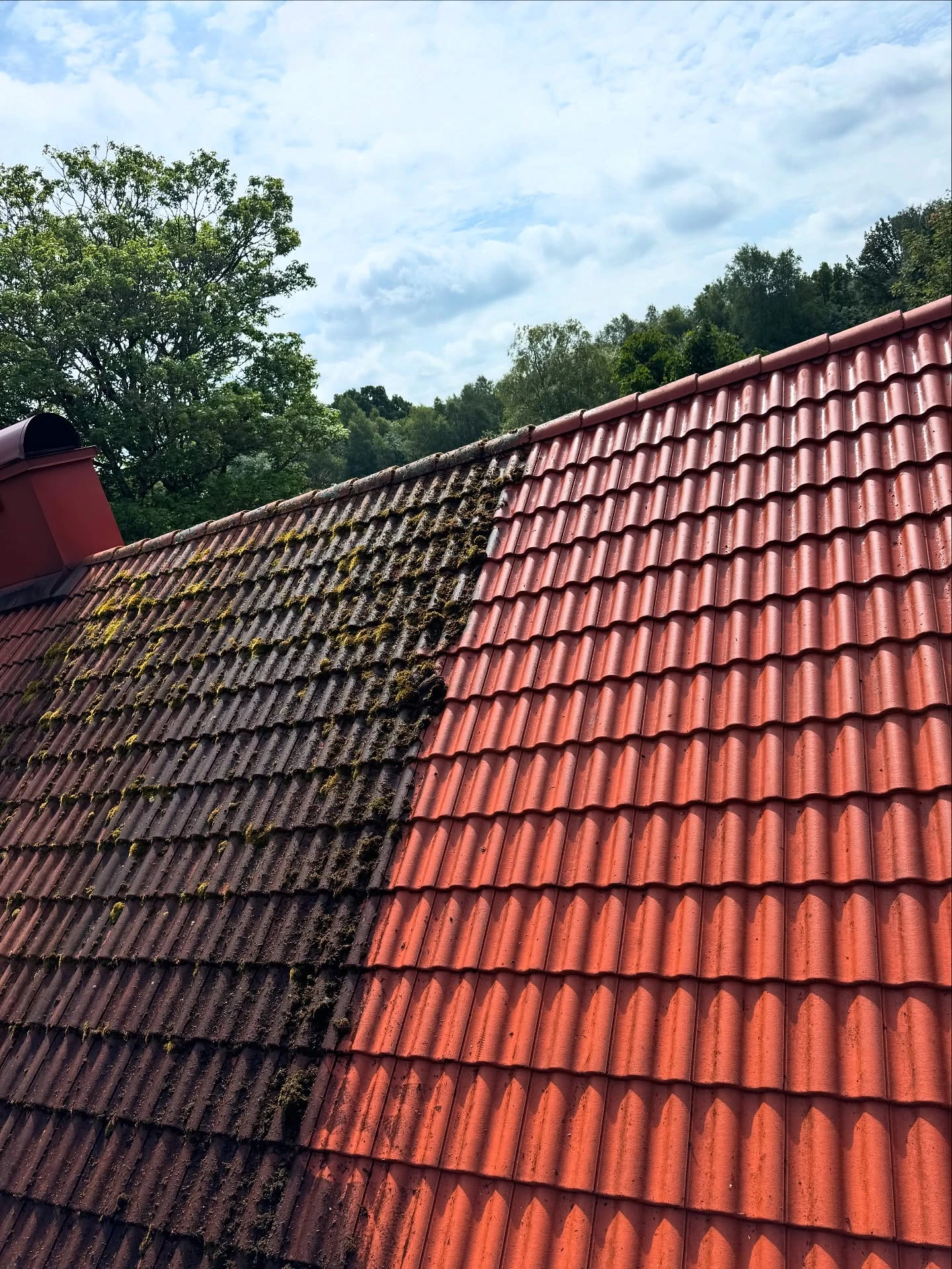 Takrengöring & Algbehandling Ljungby - Rengöring av takpannor och plåttak